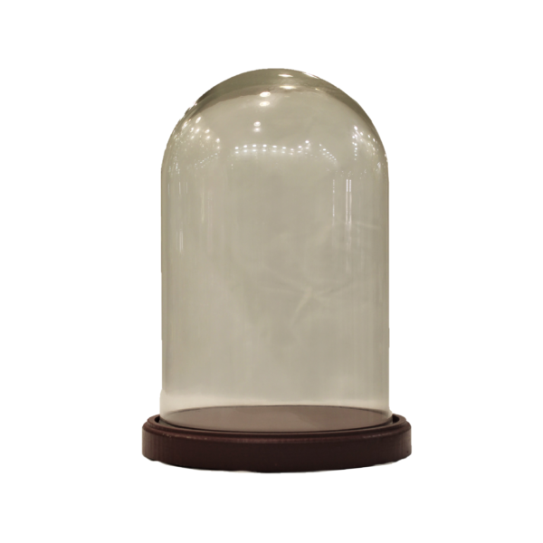 Campana in vetro con base legno cm 26
