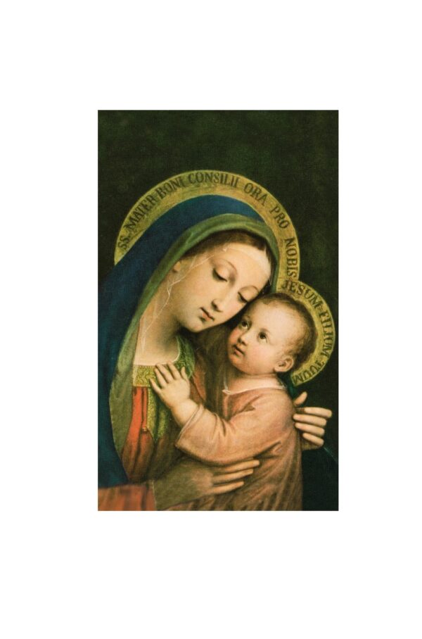 Confezione 100 immagini cm 7x12 Madonna del Buon consiglio
